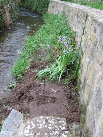 Weed-clearing on the stream bank.