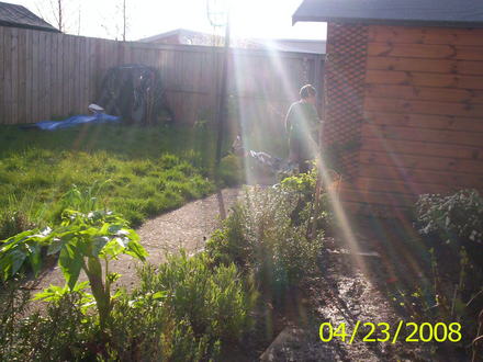 this area was full of building rubble - most of which i buried? 