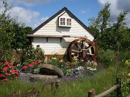 The Millers Garden