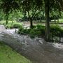 Blog_14_arbo_path