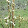Dscf0067
