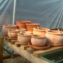 Dscf0077