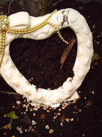 what_plant_to_grow_in_the_heart.jpg