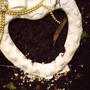 What_plant_to_grow_in_the_heart