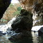 My_documents_my_pics_262
