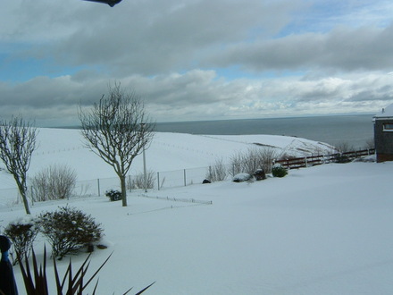 winter