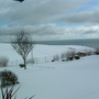 Dscf0005