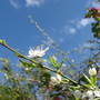 IMG_4890.jpg
