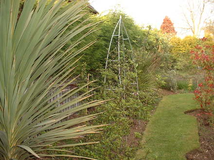 Spring__26.4.2008_074.jpg