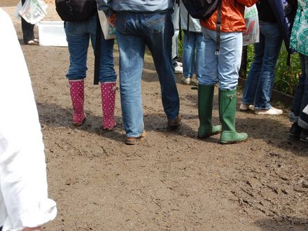 Hampton Mud