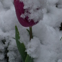 Image18