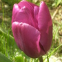 Image17