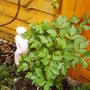 Picture_007
