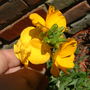 Dscf0044