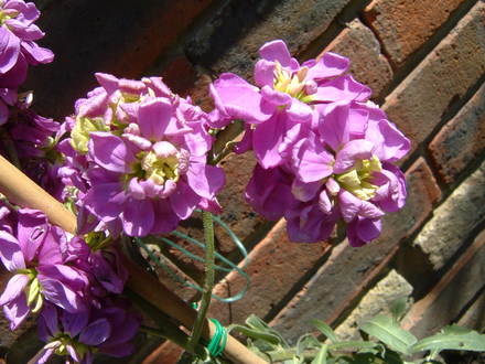 Can you tell me the name of this?