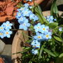 Dscf0046
