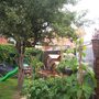 Veggies, rabbits and play area