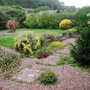 Back_garden