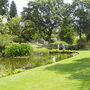 Gardens_009