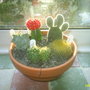 PIC_0005.jpg