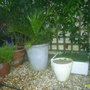 PIC_0082.jpg