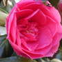 Dscn0069