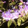 Pict0016