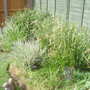28th_april_08_009