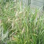 28th_april_08_010