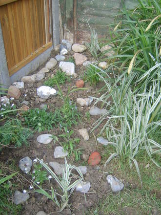 Spring garden