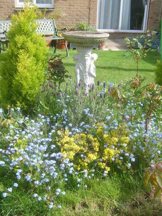April Garden.