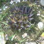 28th_april_08_022