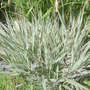 28th_april_08_024