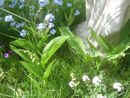 April Garden