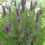 28th_april_08_029