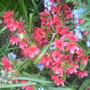 28th_april_08_046