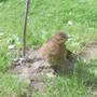 28th_april_08_053