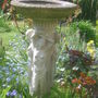 Bird Bath