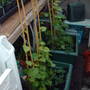 My_documents_my_pictures_046