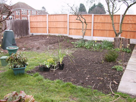 Veggie patch - The Beginning