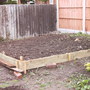 Veg_-_before