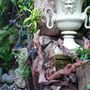 View of the stumpery. April 2008