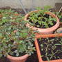 My_documents_my_pictures_050
