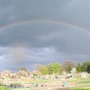 Rainbow over allotments 28/04/08