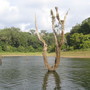 Picture_098