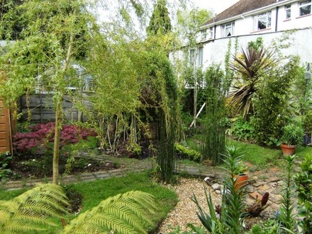 View from Tree Ferns towards Willow Dome.