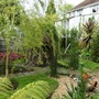 View from Tree Ferns towards Willow Dome.
