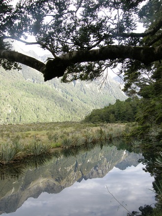 mirror lake- new zealand