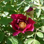 Dscn1680