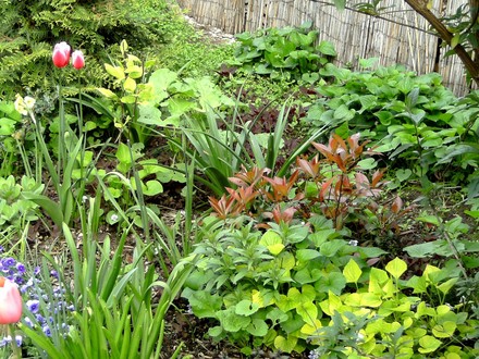 This border is looking quite full now too.